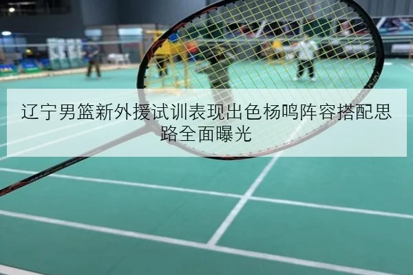辽宁男篮新外援试训表现出色杨鸣阵容搭配思路全面曝光