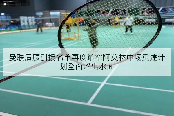 曼联后腰引援名单再度缩窄阿莫林中场重建计划全面浮出水面